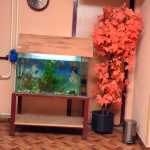 suncanajesenenterijer6